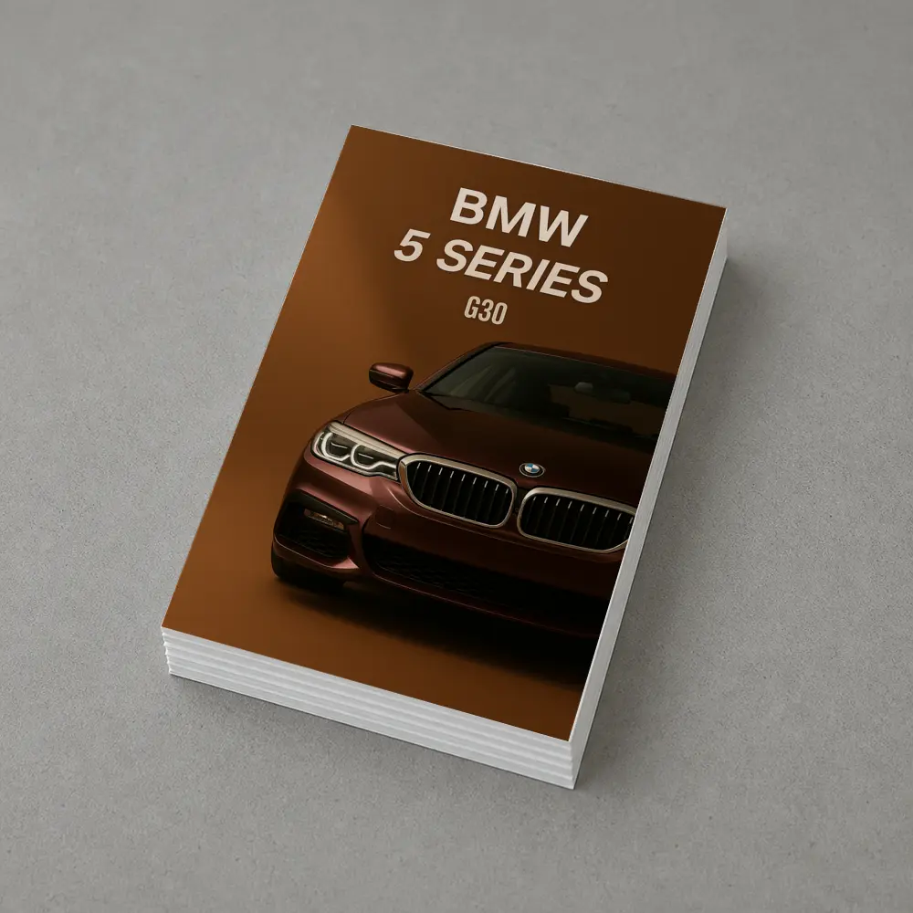 BMW 5 Series G30 Brown Studio – Postcards