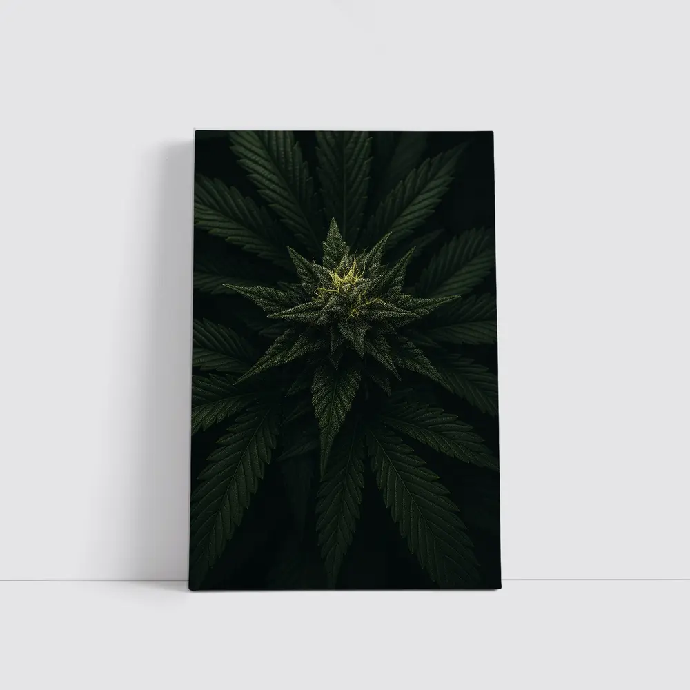 Cannabis Plant Dark Green Close Up – Wall Art