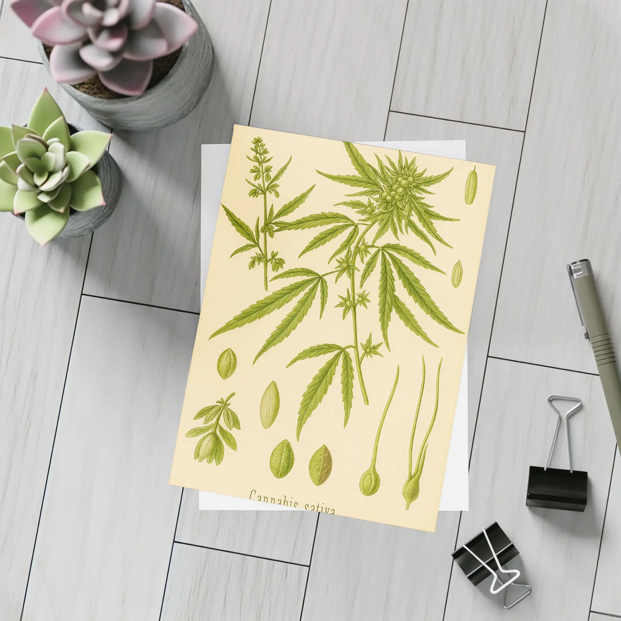 Cannabis Sativa Botanical Illustration Beige Background – Postcards