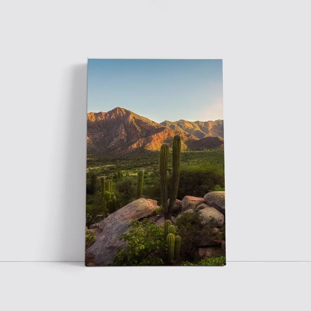 Saguaro Cactus Desert Mountains Golden Hour – Wall Art