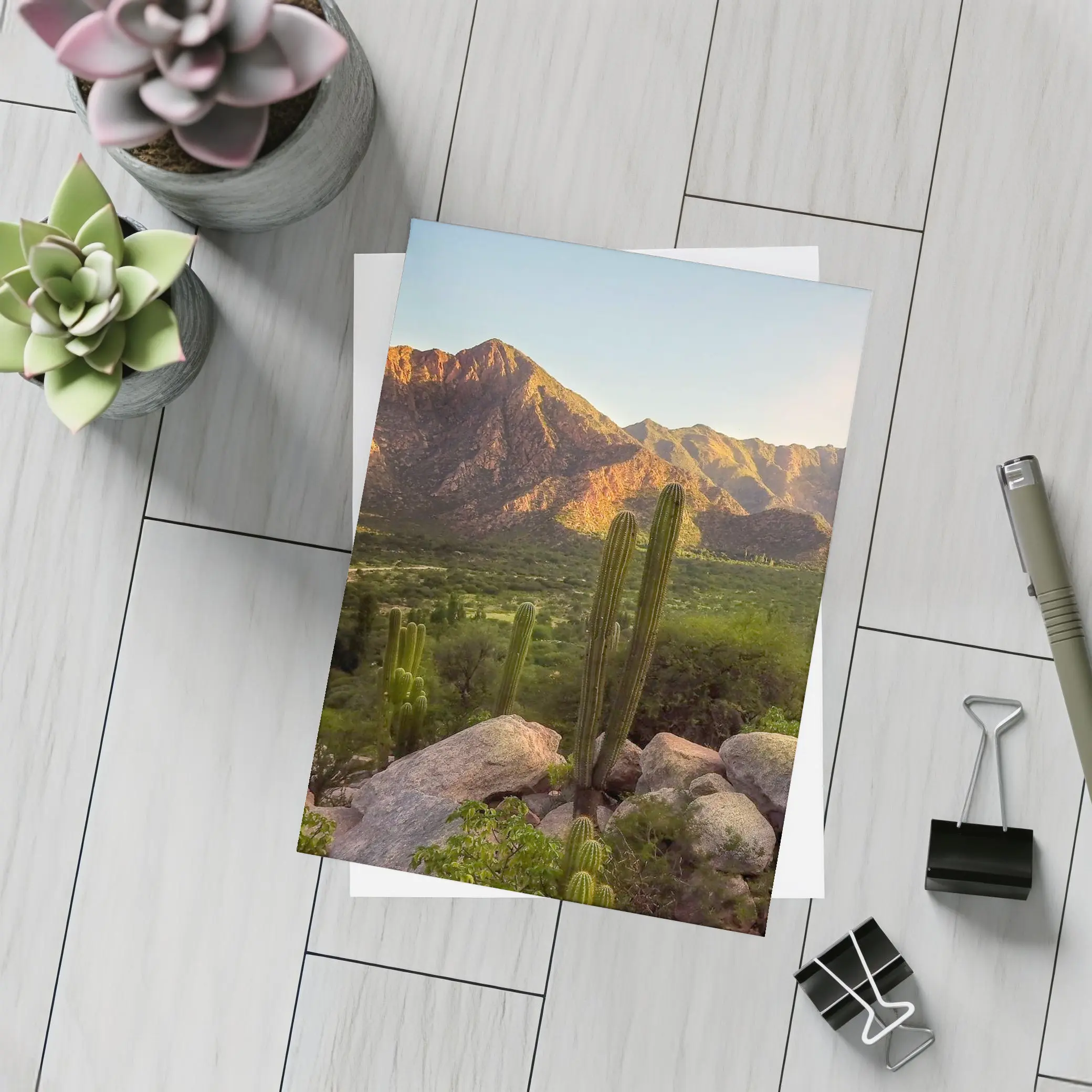 Saguaro Cactus Desert Mountains Golden Hour – Postcards