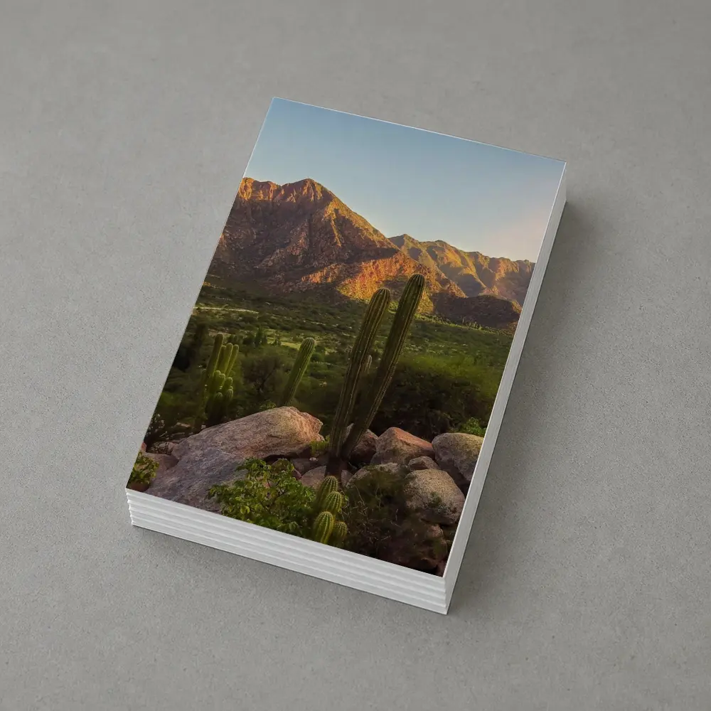 Saguaro Cactus Desert Mountains Golden Hour – Postcards