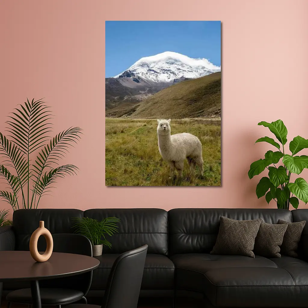 White Alpaca Snow Mountain Blue Sky – Wall Art