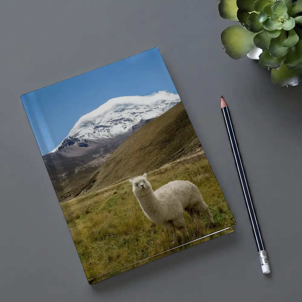 White Alpaca Snow Mountain Blue Sky – Notebooks