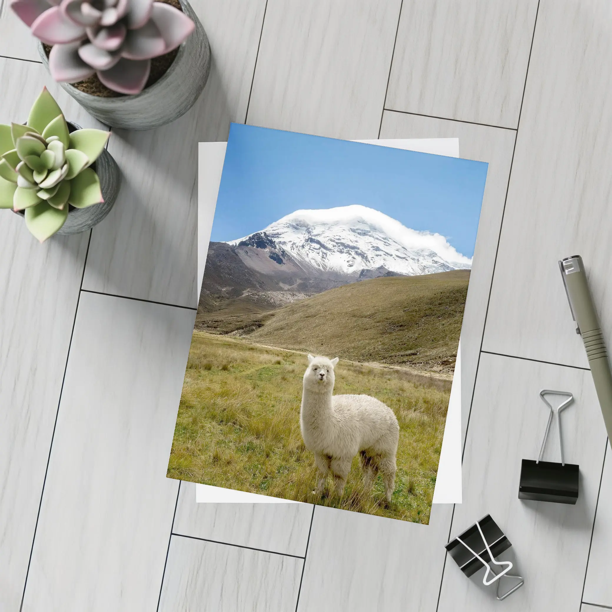White Alpaca Snow Mountain Blue Sky – Postcards