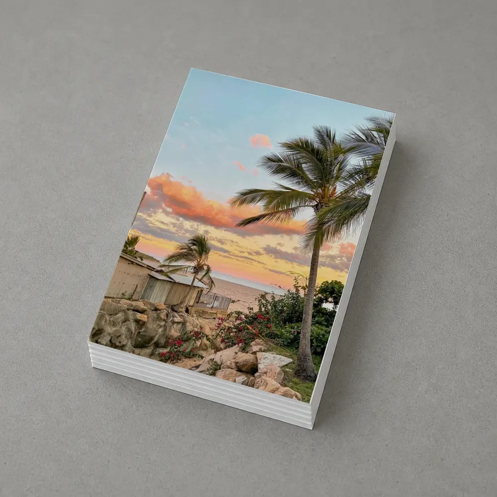 Tropical Beach Sunset Palm Trees Pink Sky – Postcards