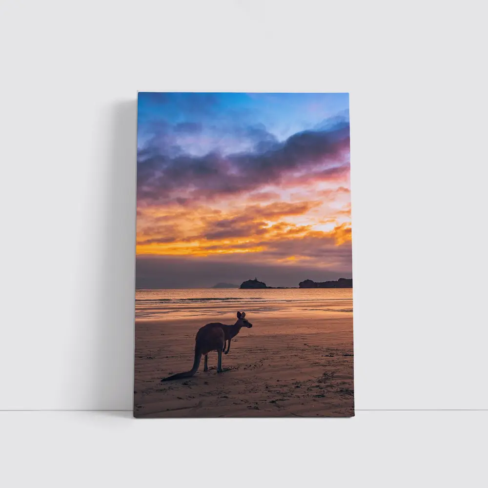 Kangaroo On Beach At Sunset Australia – Wall Art