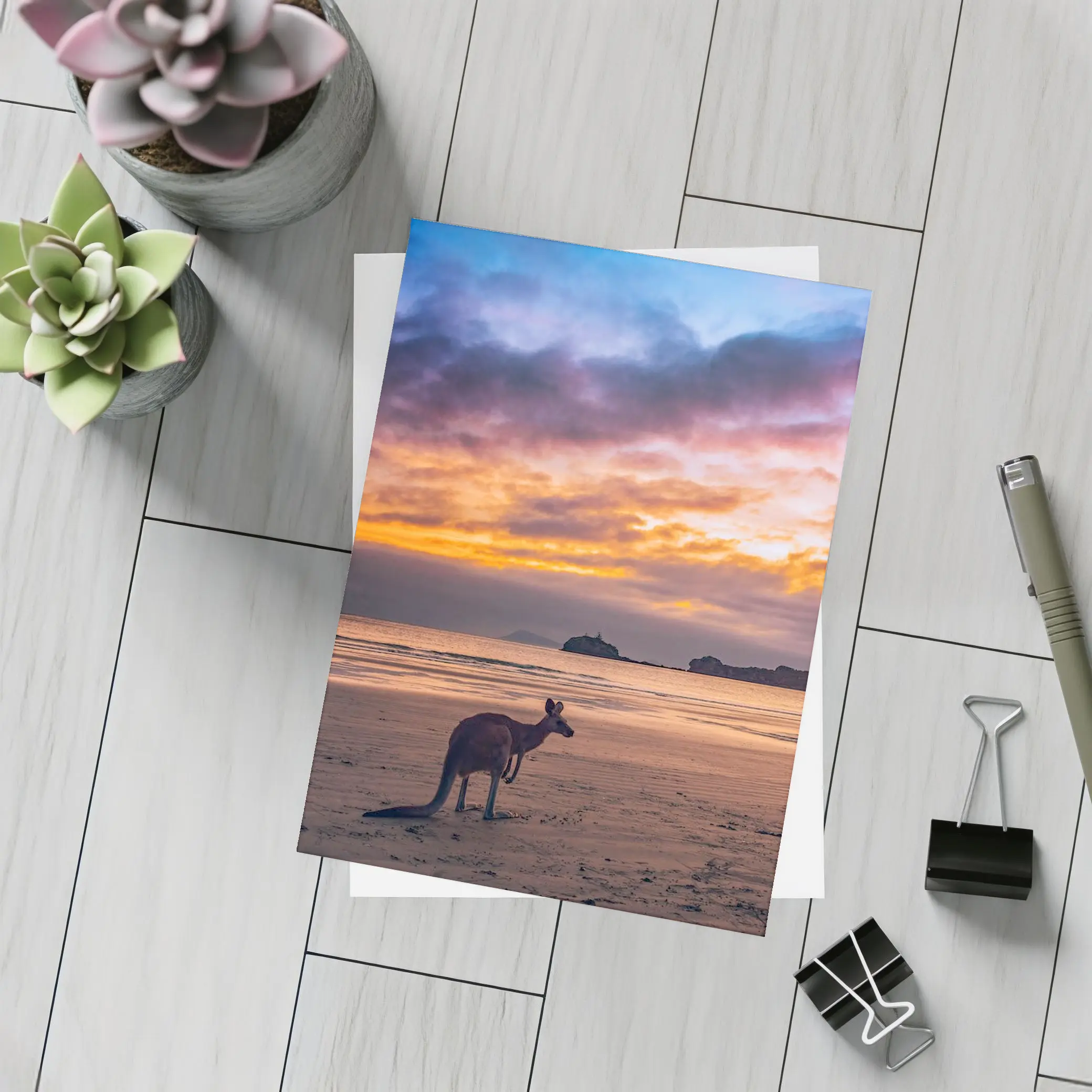 Kangaroo On Beach At Sunset Australia – Postcards
