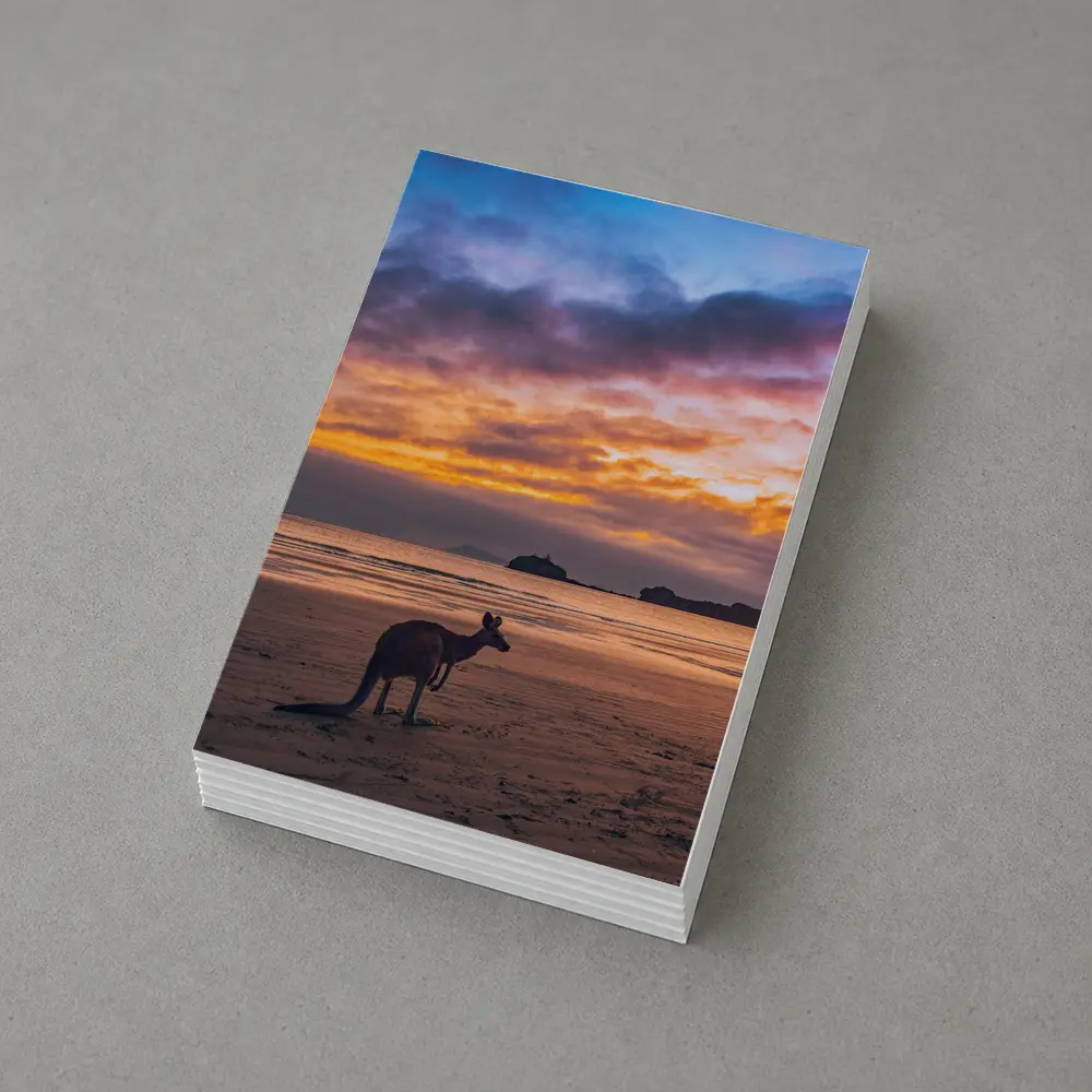 Kangaroo On Beach At Sunset Australia – Postcards