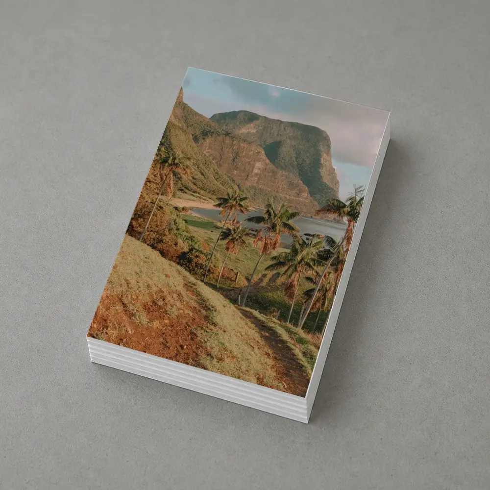 Tropical Palm Trees Mountain Bay Coastal View – Postcards