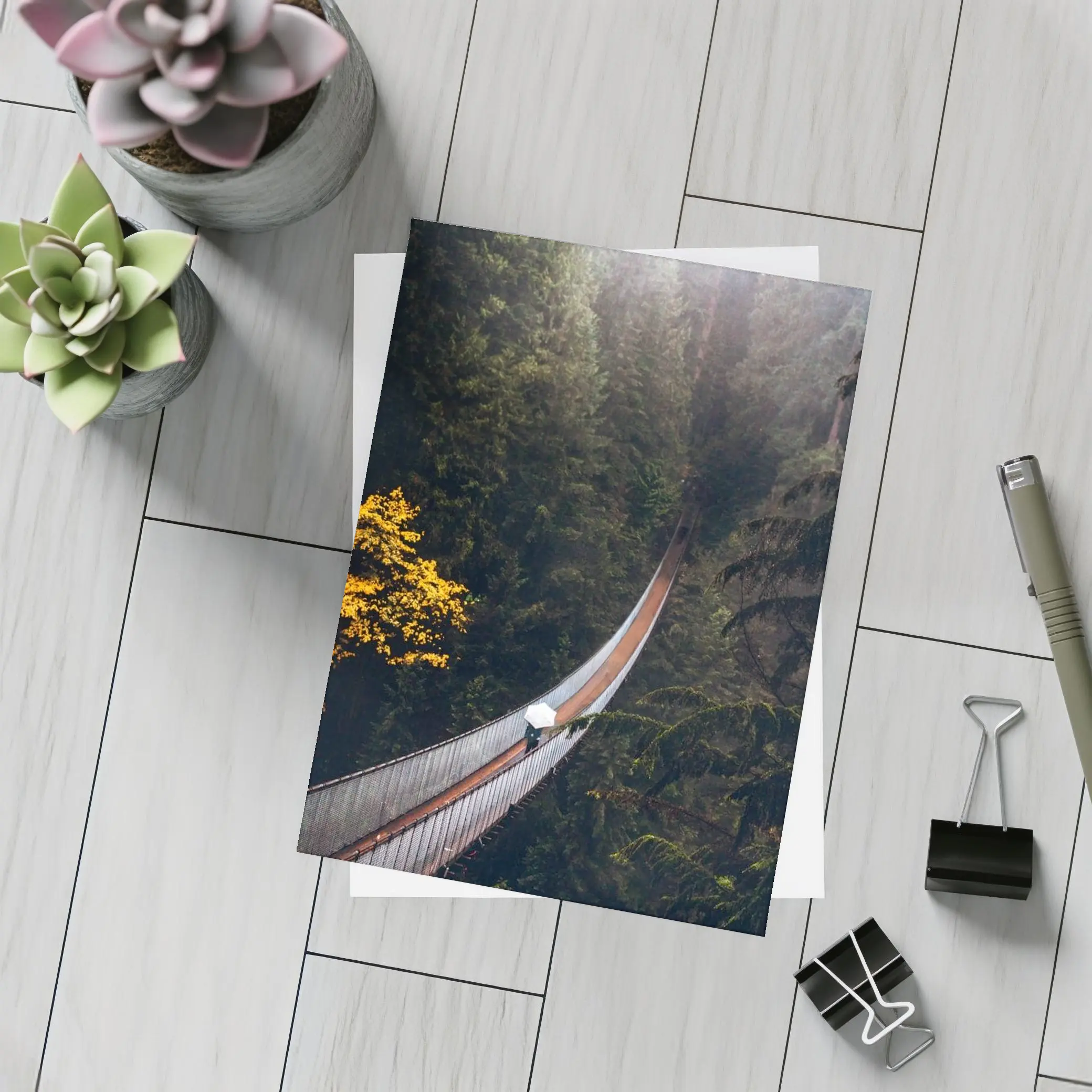 Suspension Bridge Deep Forest Green Trees – Postcards