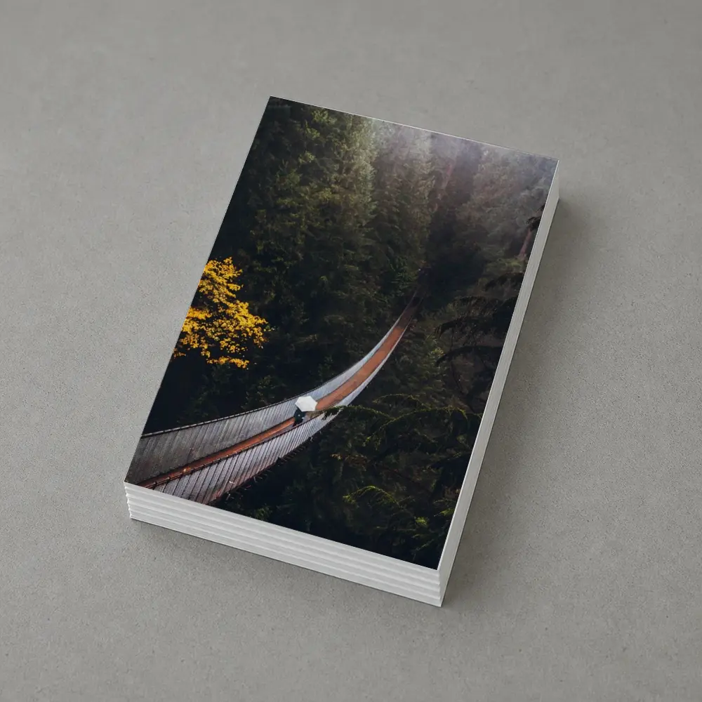 Suspension Bridge Deep Forest Green Trees – Postcards