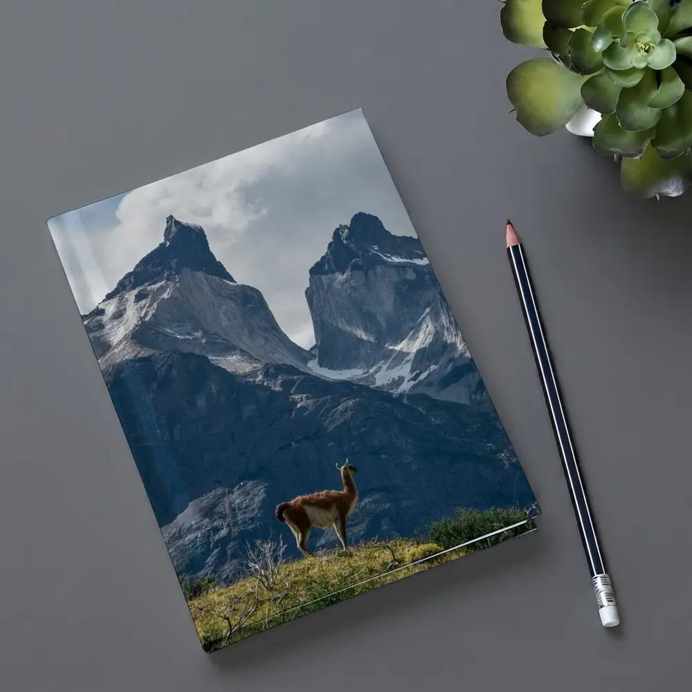 Guanaco Standing Before Patagonian Mountain Peaks – Notebooks