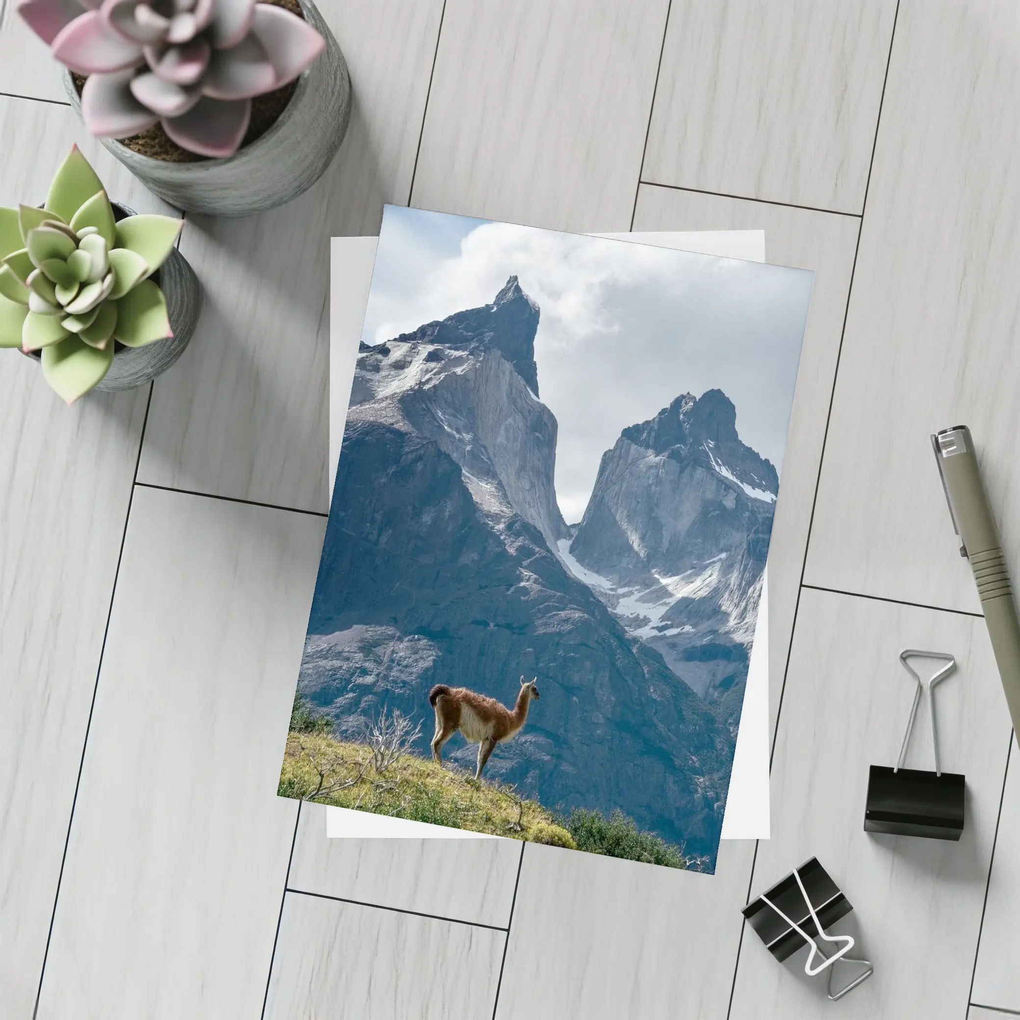 Guanaco Standing Before Patagonian Mountain Peaks – Postcards