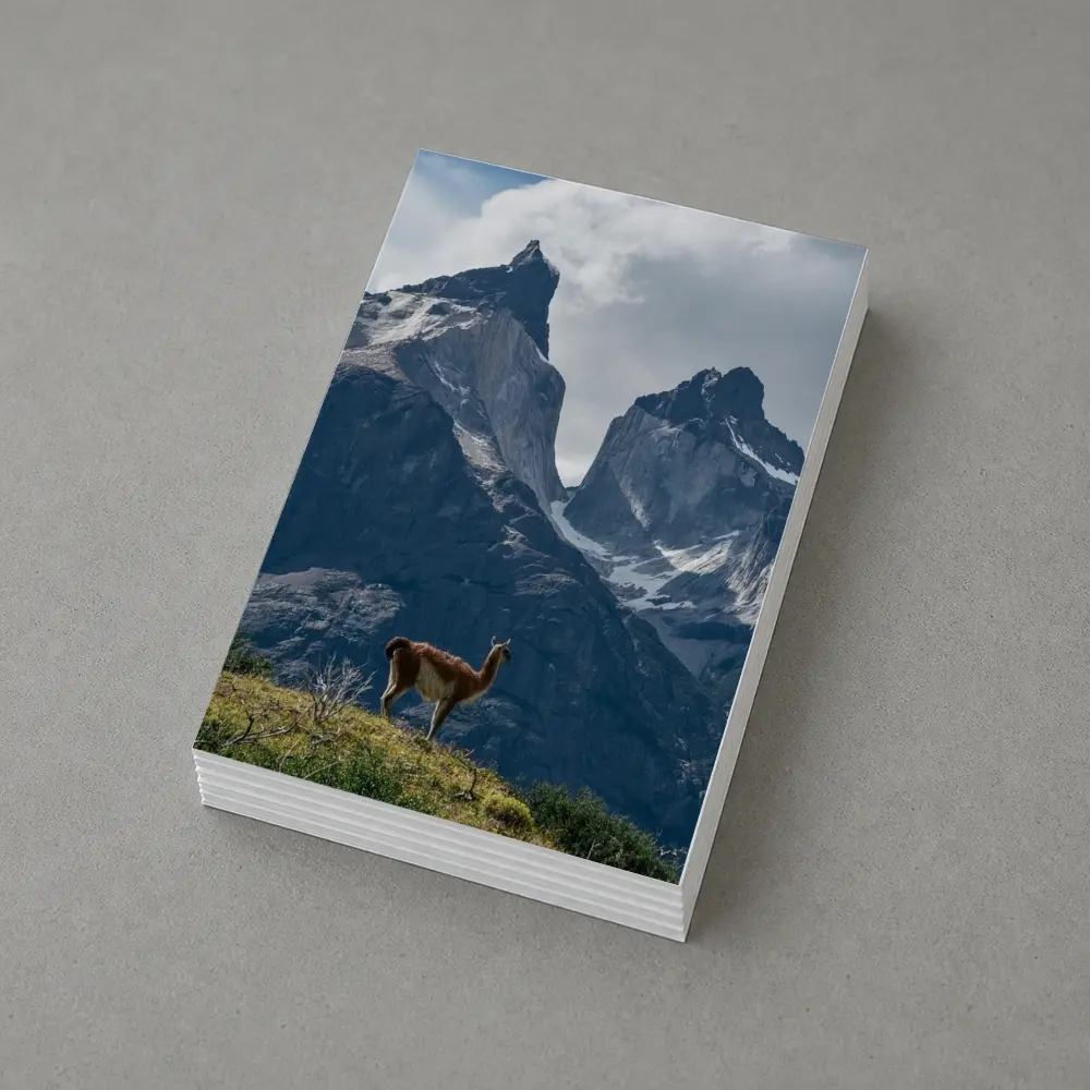 Guanaco Standing Before Patagonian Mountain Peaks – Postcards