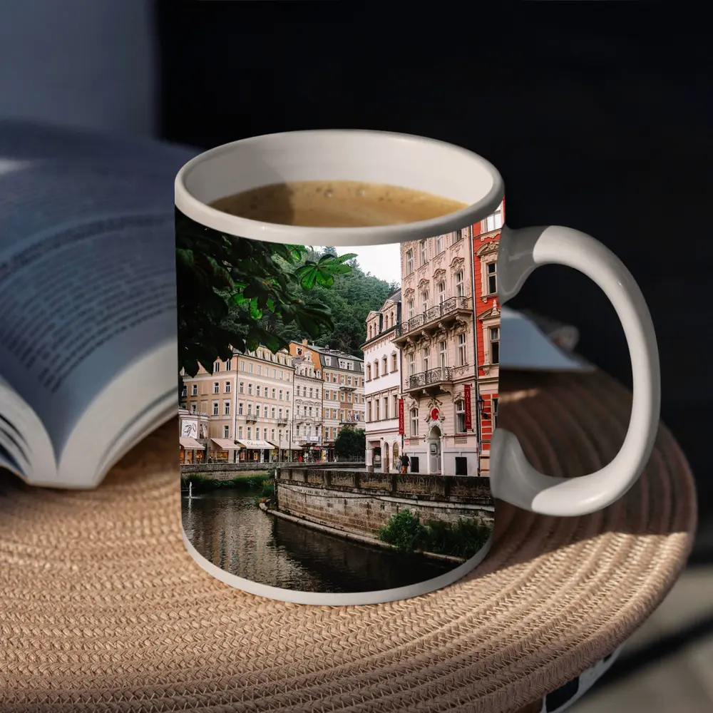Karlovy Vary River Canal Historic Buildings – Mugs