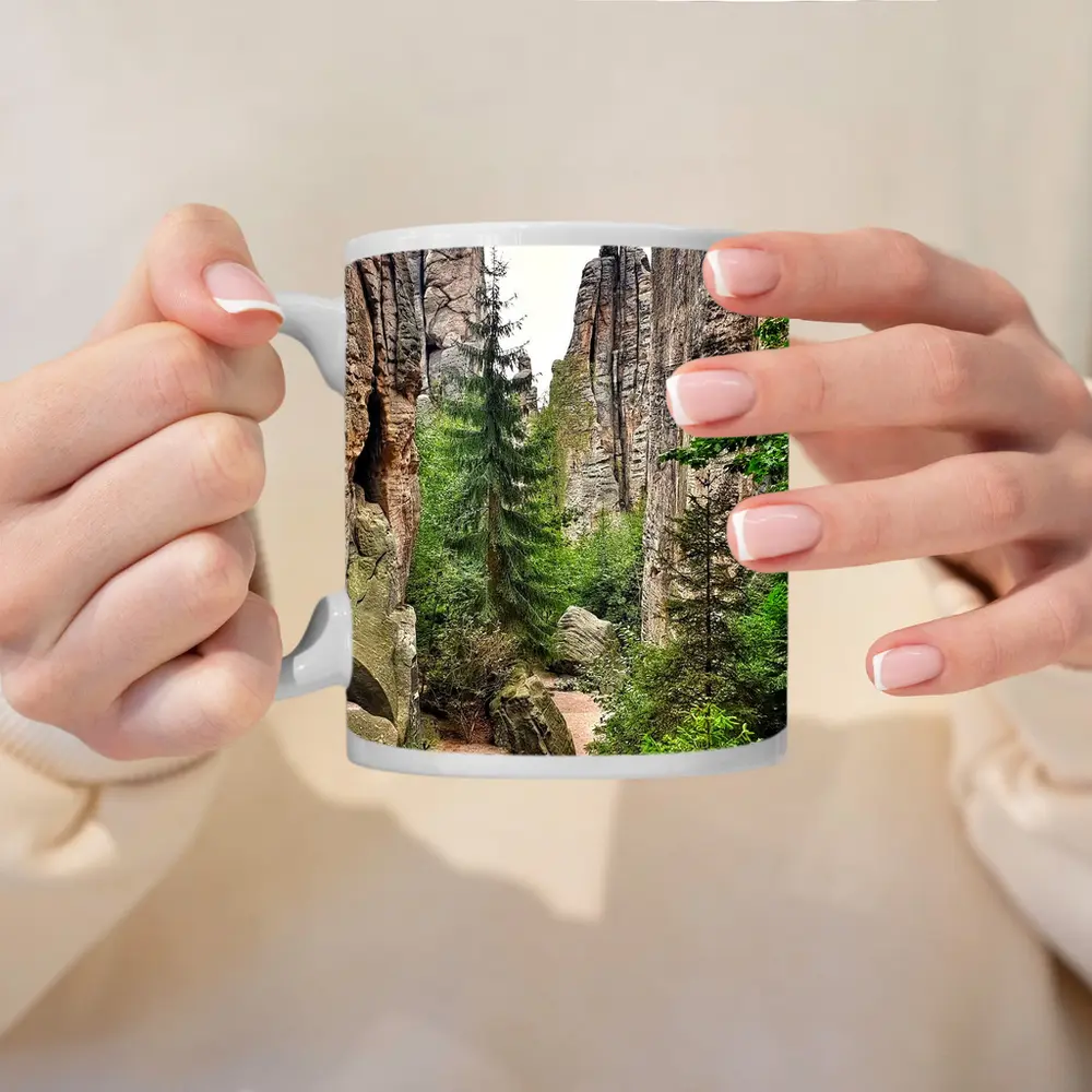Narrow Rock Canyon Path Through Forest – Mugs