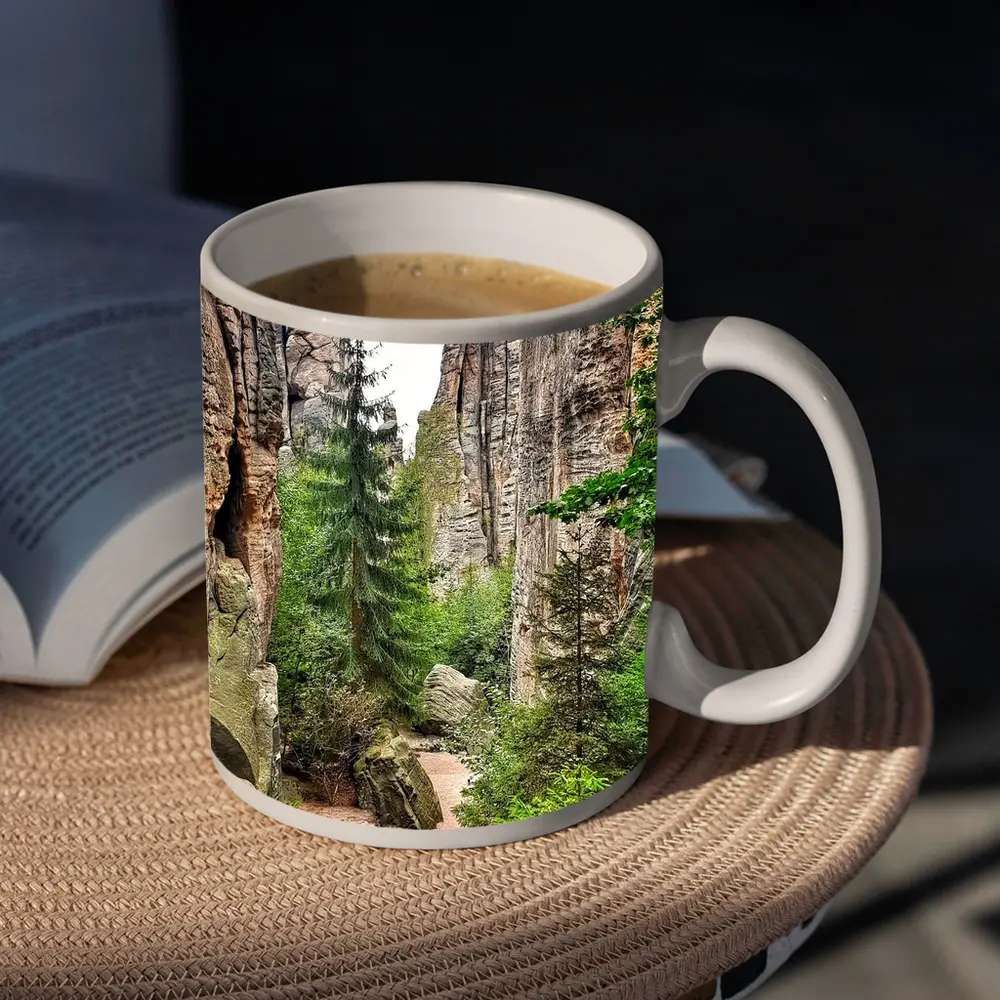 Narrow Rock Canyon Path Through Forest – Mugs