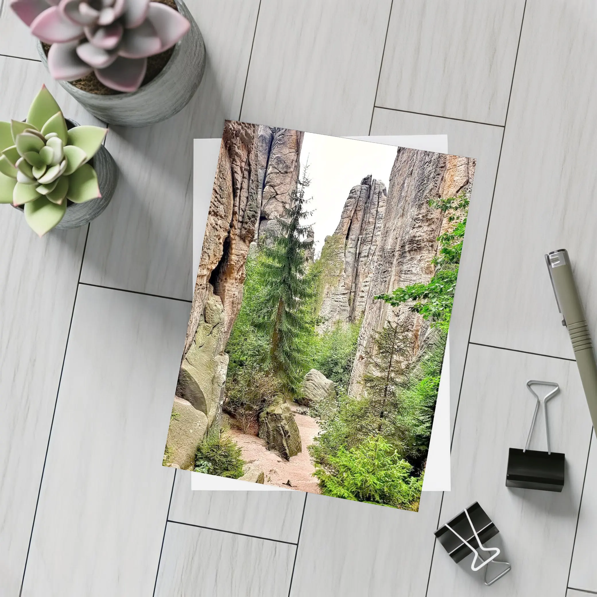Narrow Rock Canyon Path Through Forest – Postcards