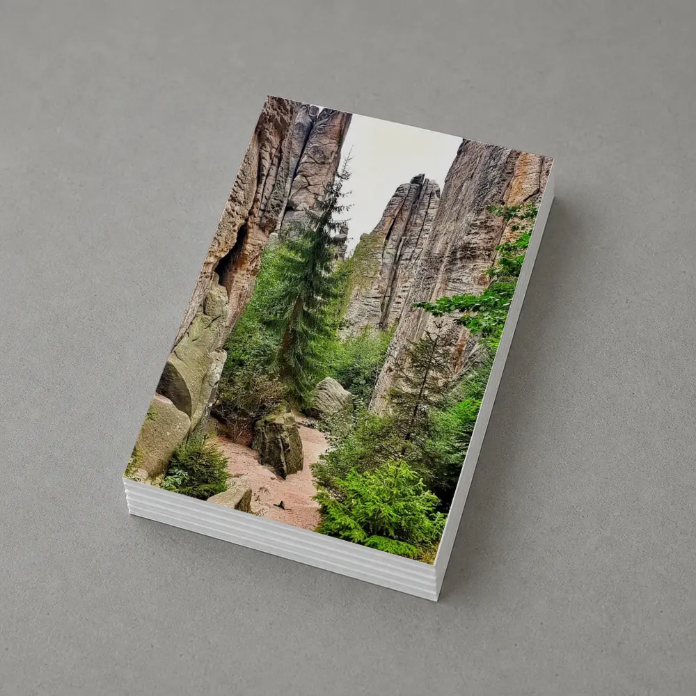 Narrow Rock Canyon Path Through Forest – Postcards