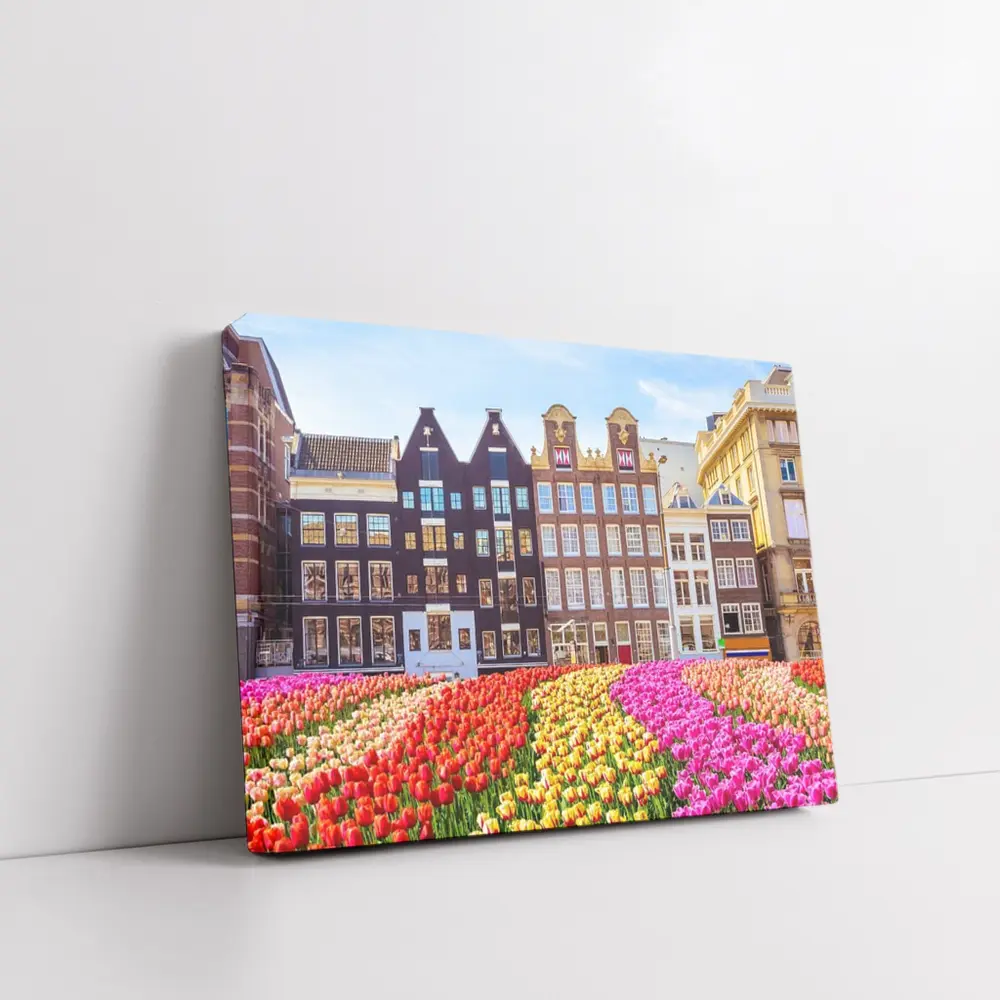 Amsterdam Canal Houses With Colorful Tulips – Wall Art