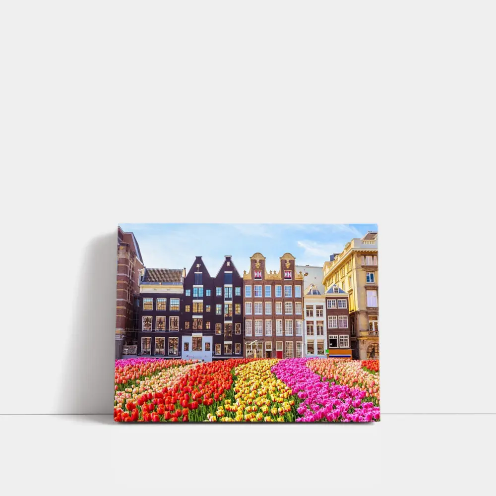 Amsterdam Canal Houses With Colorful Tulips – Wall Art