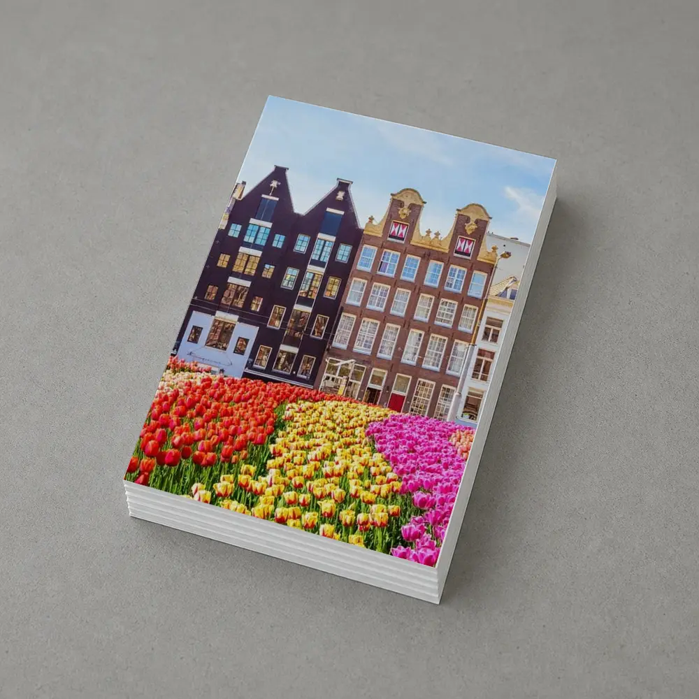 Amsterdam Canal Houses With Colorful Tulips – Postcards