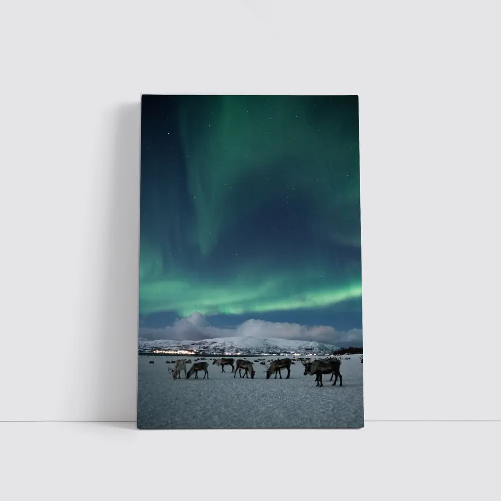Reindeer Grazing Under Northern Lights Norway – Wall Art