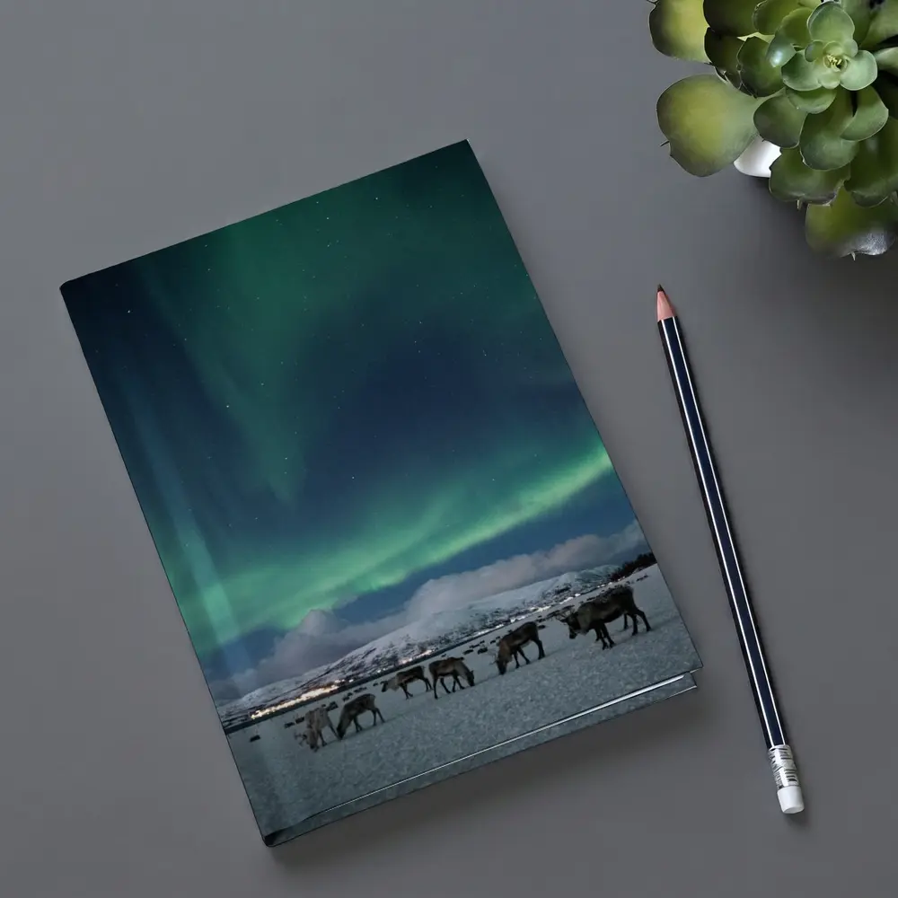 Reindeer Grazing Under Northern Lights Norway – Notebooks