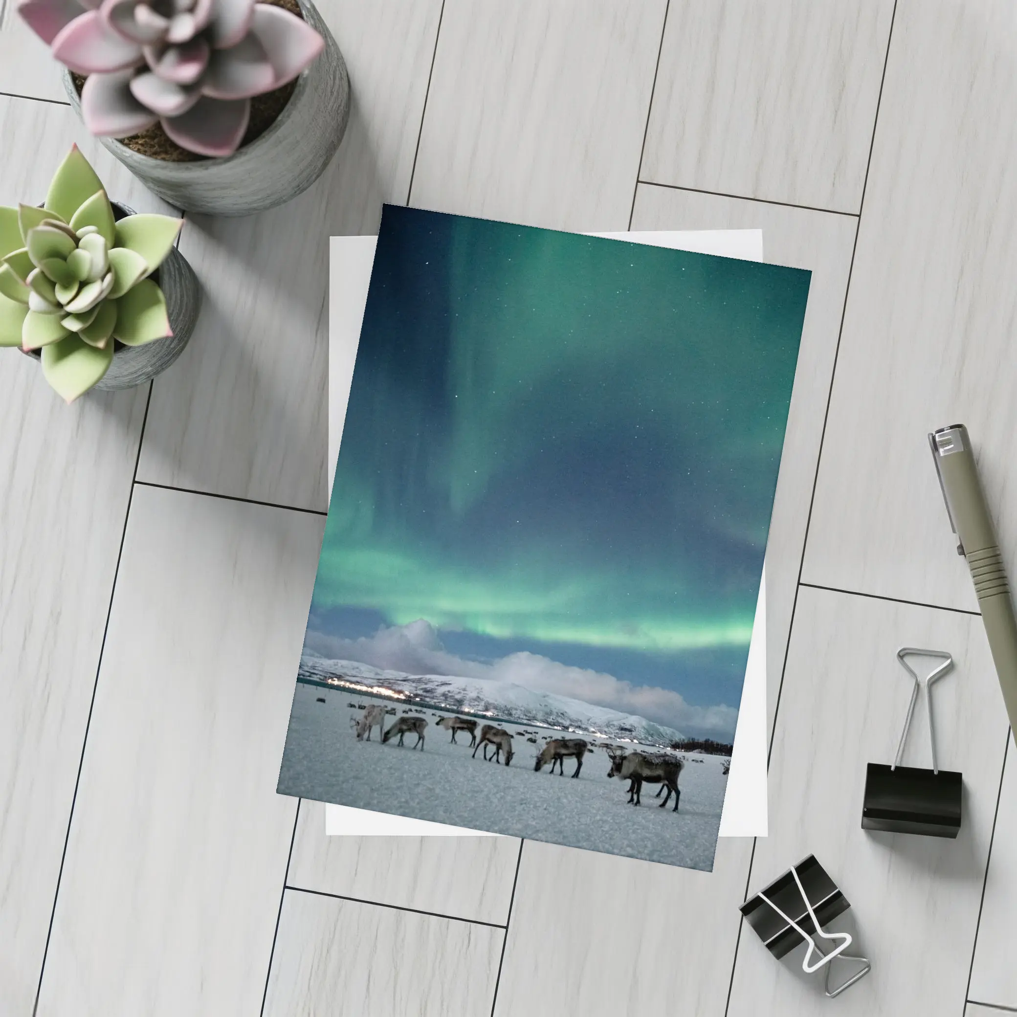 Reindeer Grazing Under Northern Lights Norway – Postcards