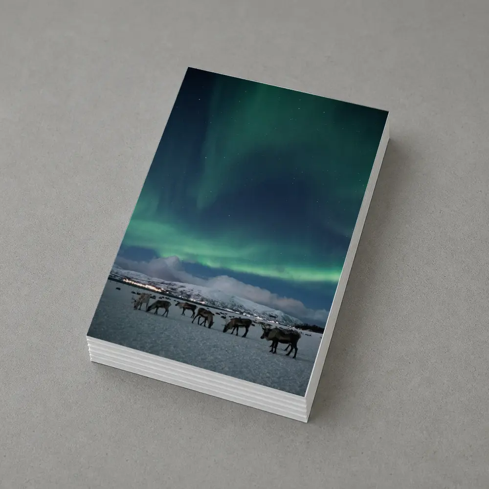 Reindeer Grazing Under Northern Lights Norway – Postcards