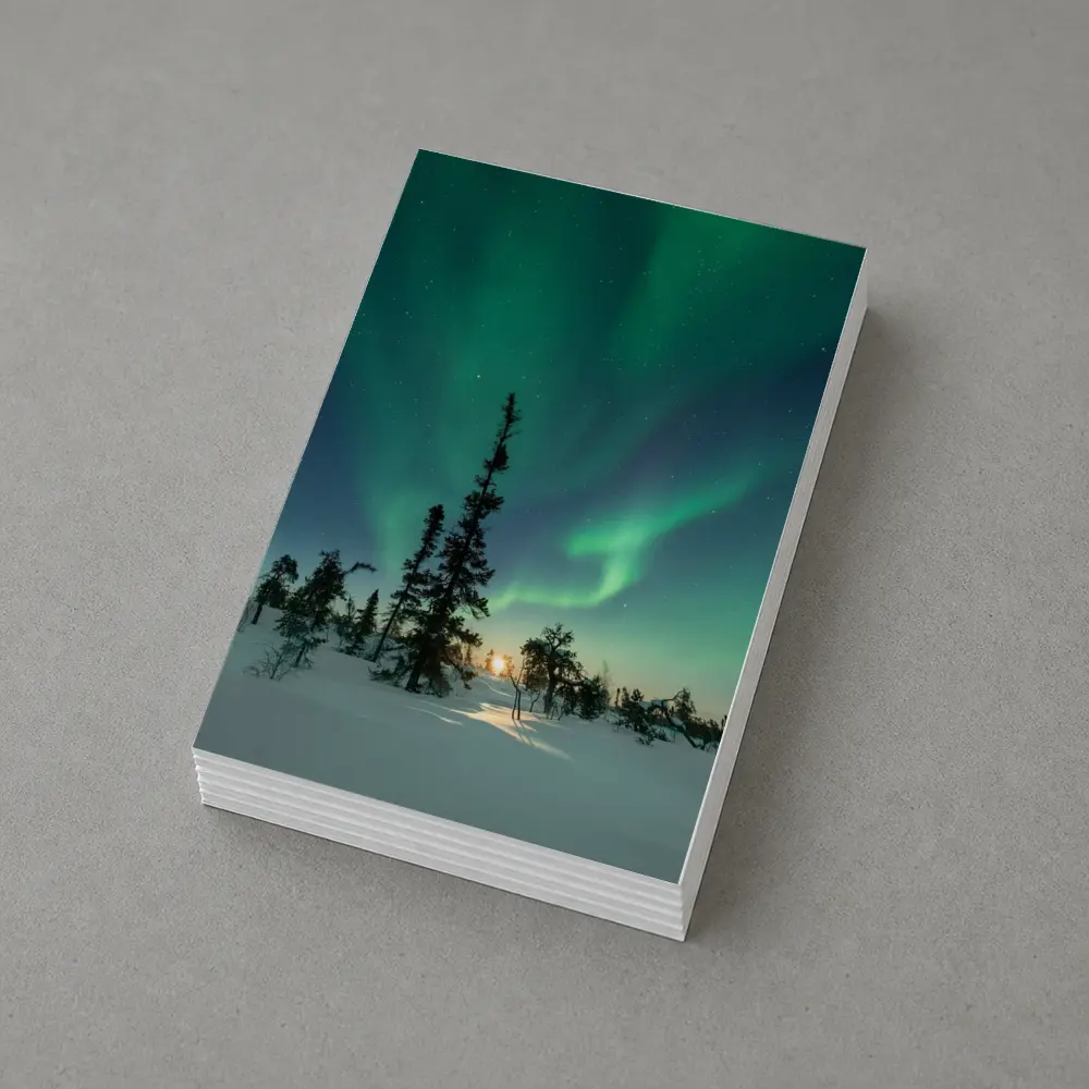 Northern Lights Green Aurora Boreal Winter Forest – Postcards