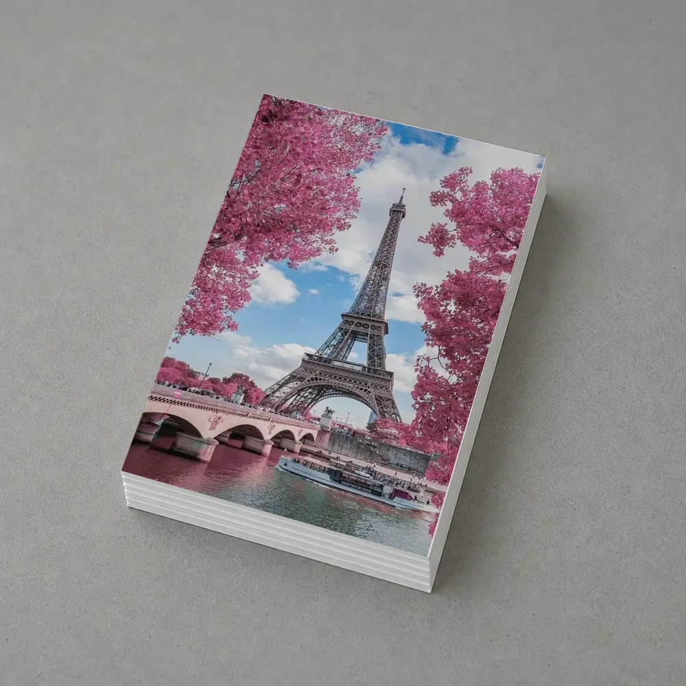 Eiffel Tower Paris Pink Blossoms River View – Postcards