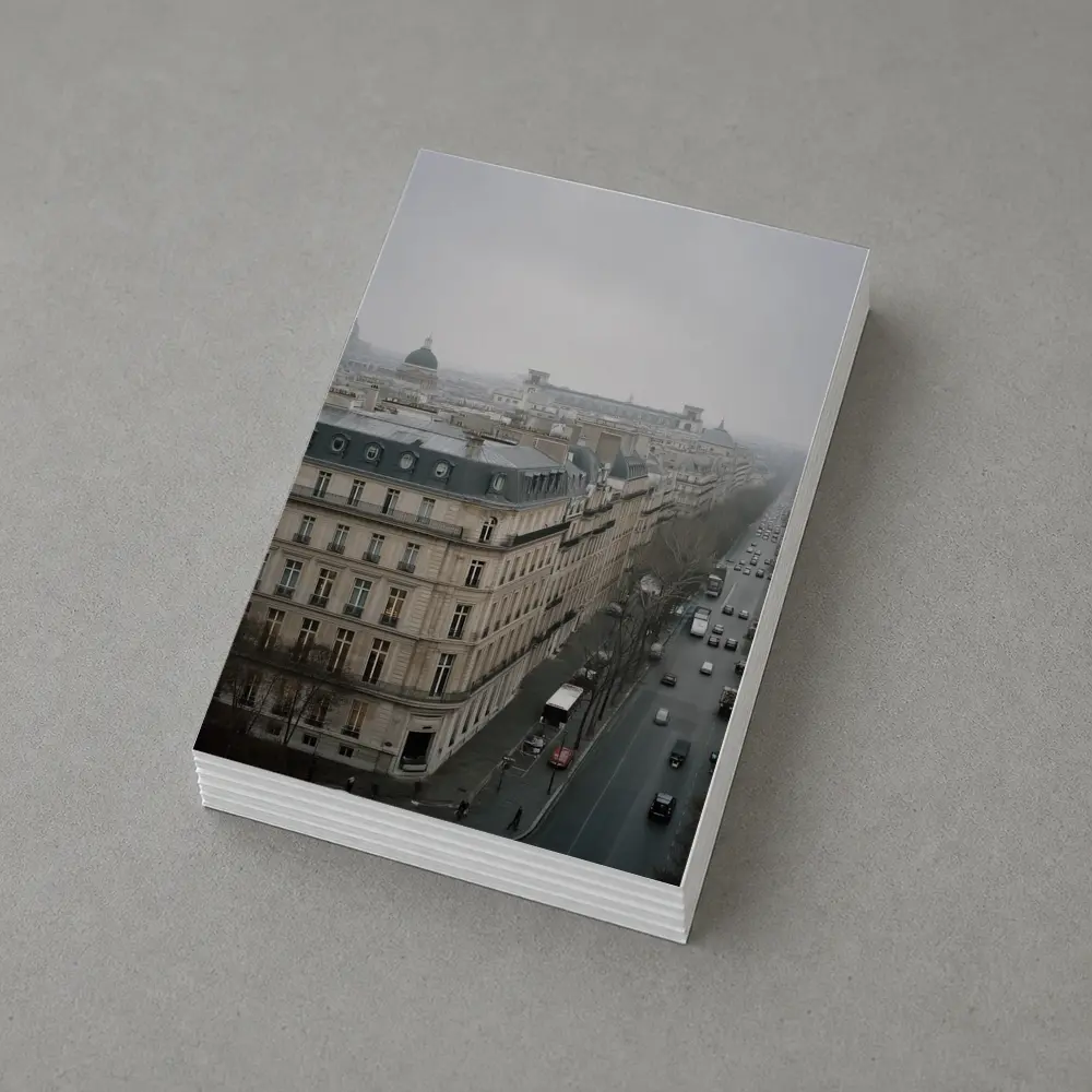 Paris Rooftop View Gray Overcast Boulevard – Postcards