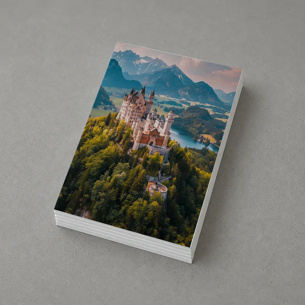 Neuschwanstein Castle Alps Forest Aerial View – Postcards