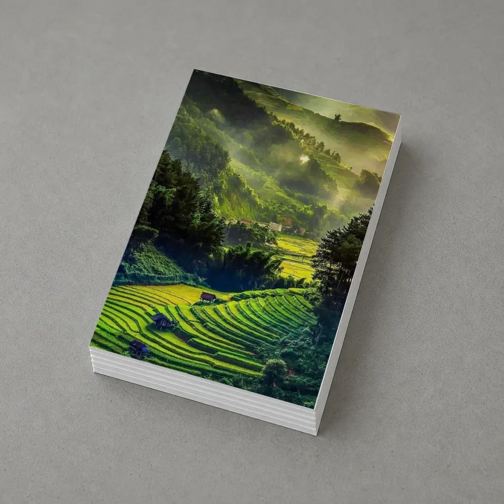 Green Rice Fields Misty Mountain Valley Landscape – Postcards