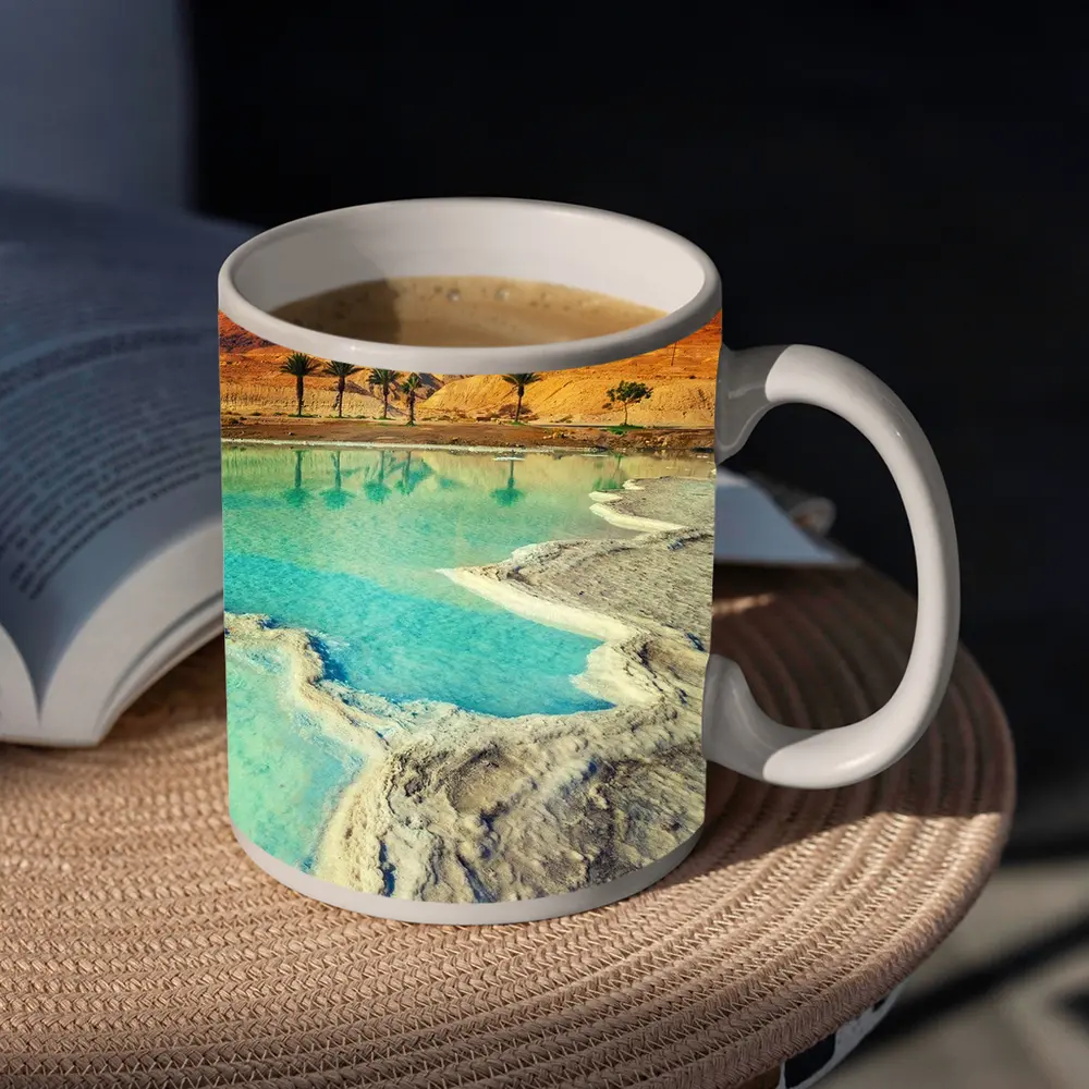 Dead Sea Salt Shores Desert Palms Israel – Mugs