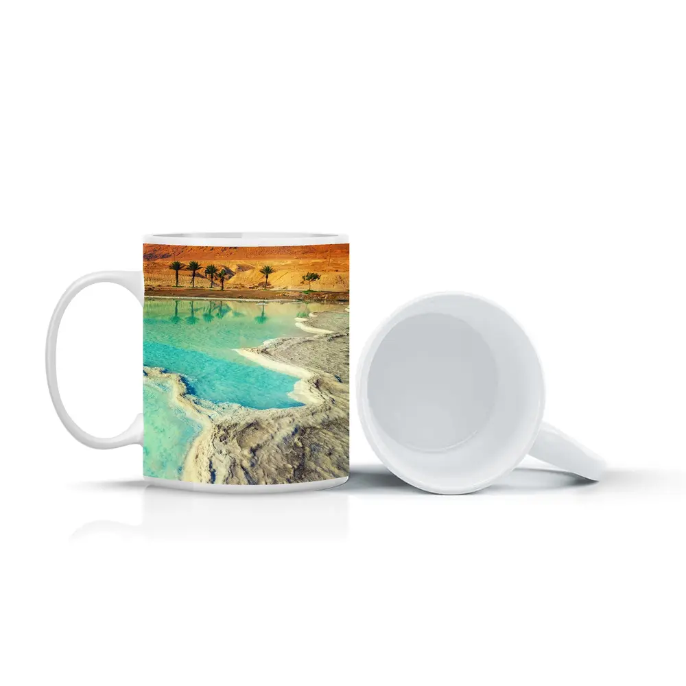 Dead Sea Salt Shores Desert Palms Israel – Mugs