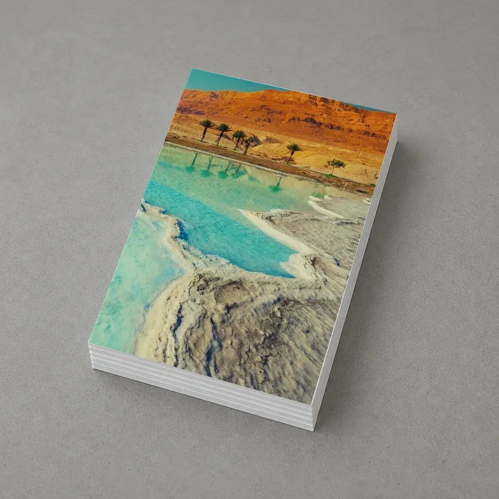 Dead Sea Salt Shores Desert Palms Israel – Postcards