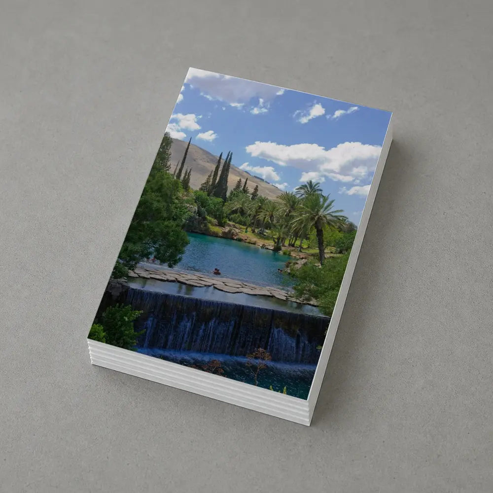Tropical Pool Waterfall Green Palm Trees – Postcards