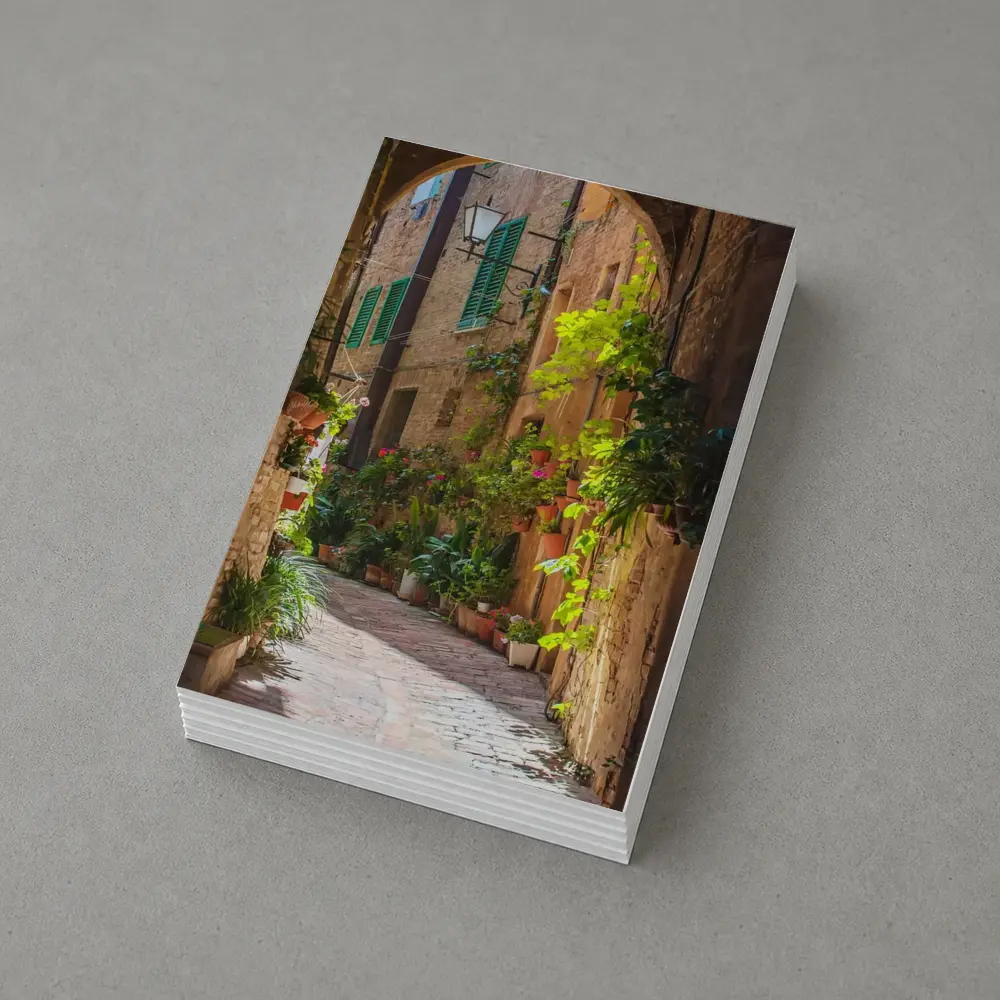 Sunlit Italian Alley With Potted Plants – Postcards