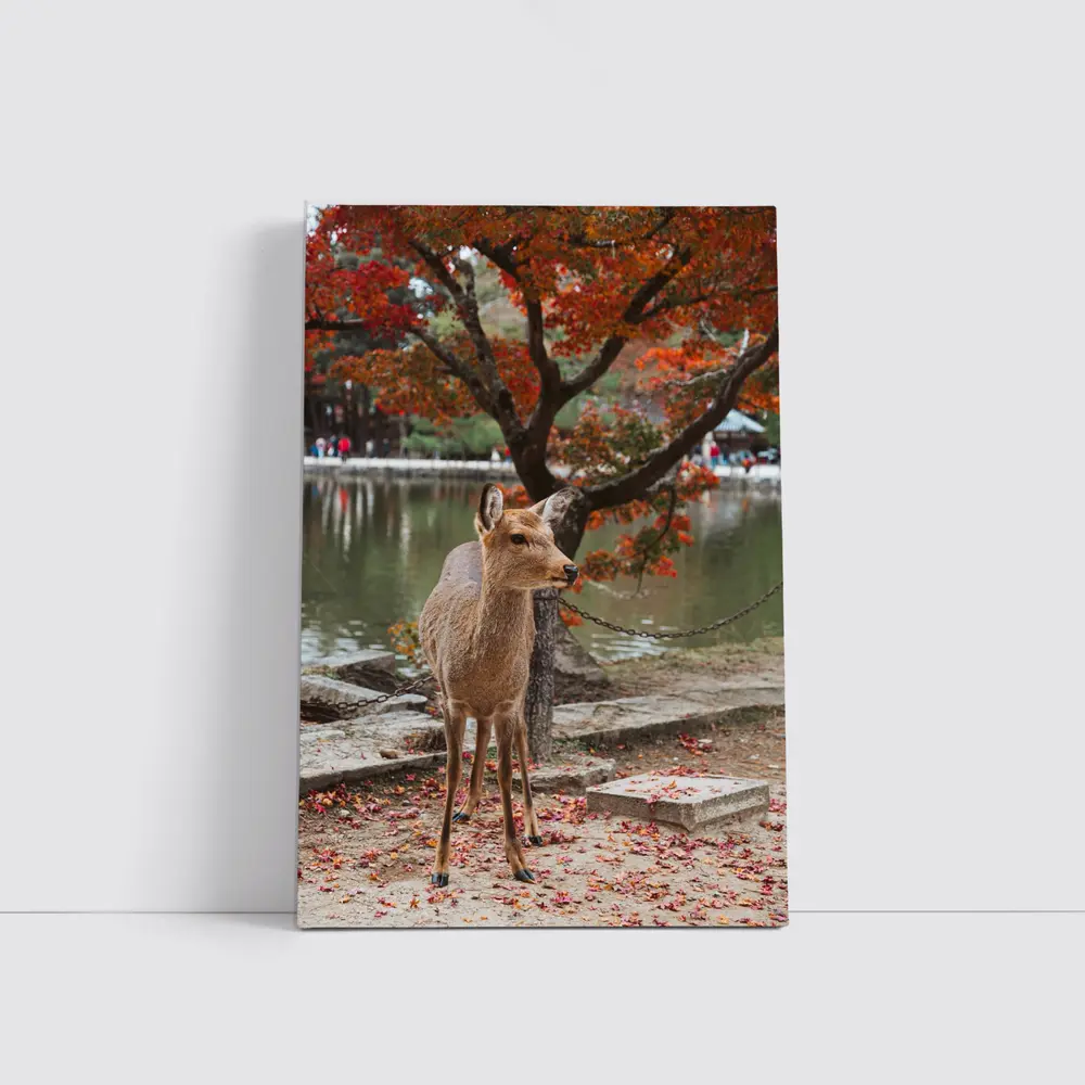 Sika Deer by Autumn Lake Japan – Wall Art