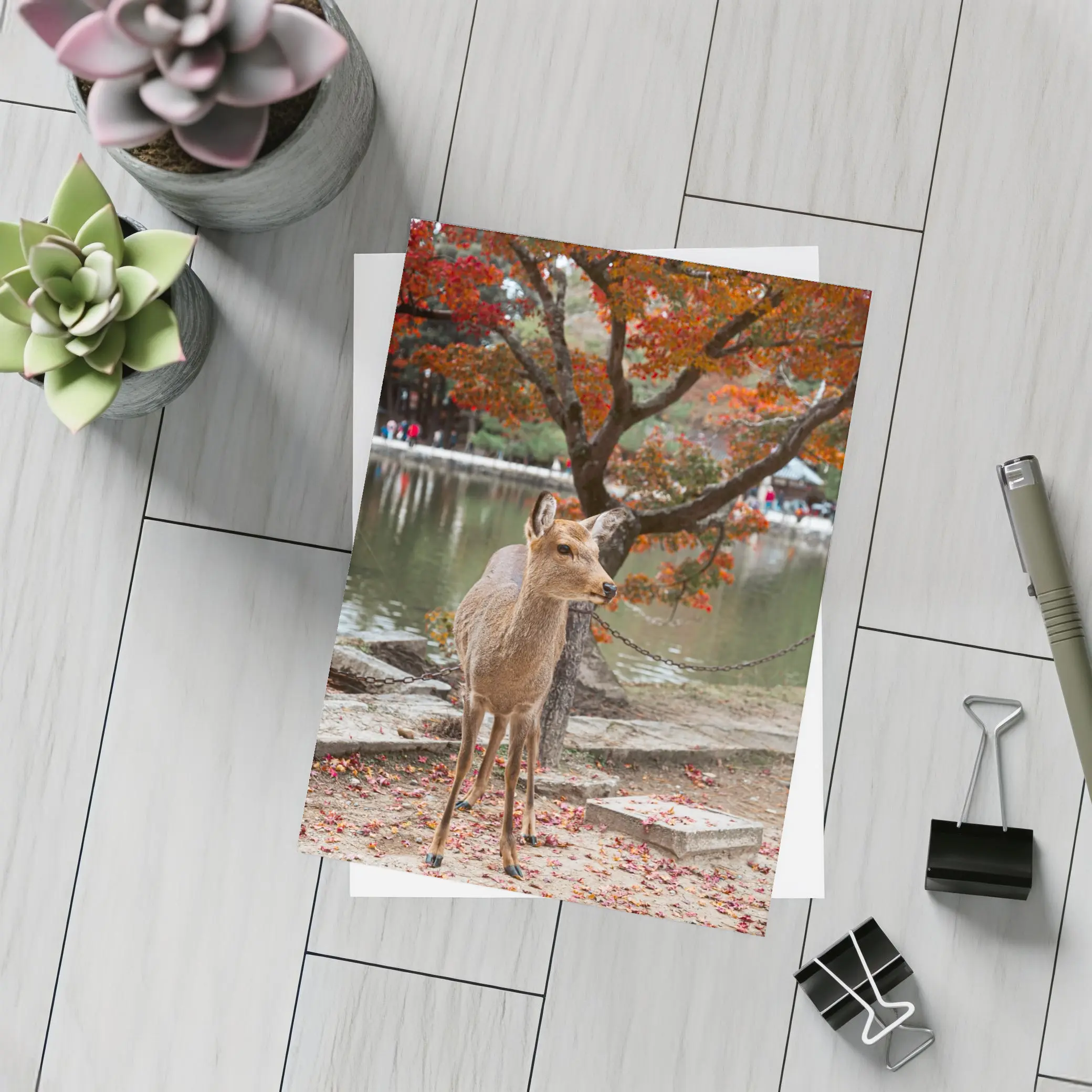 Sika Deer by Autumn Lake Japan – Postcards