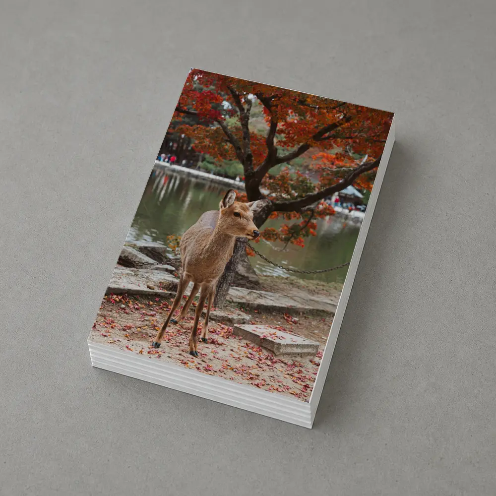 Sika Deer by Autumn Lake Japan – Postcards