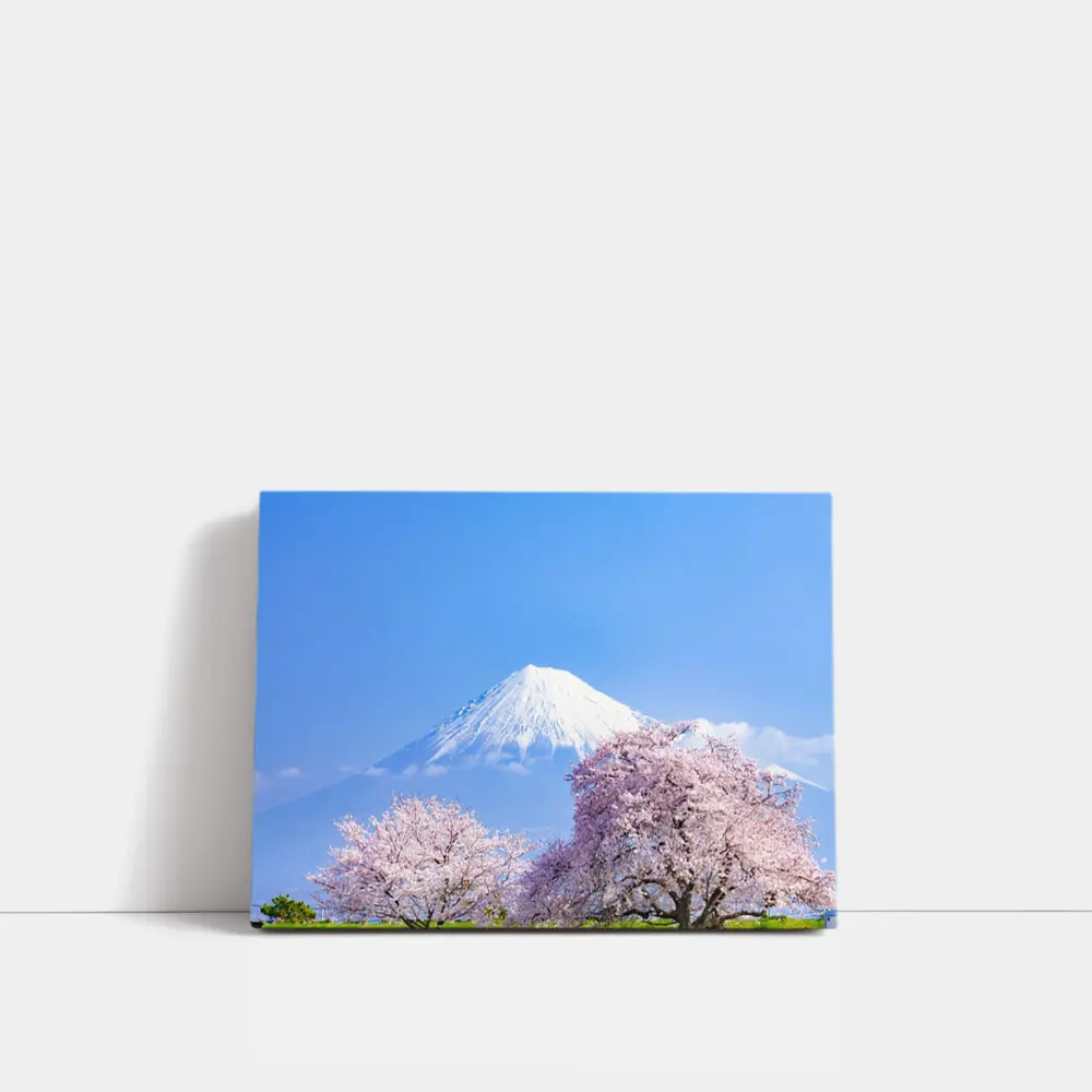 Mount Fuji Cherry Blossoms Blue Sky Japan – Wall Art