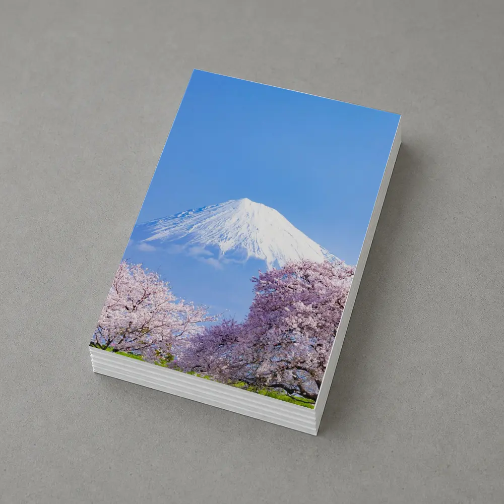 Mount Fuji Cherry Blossoms Blue Sky Japan – Postcards