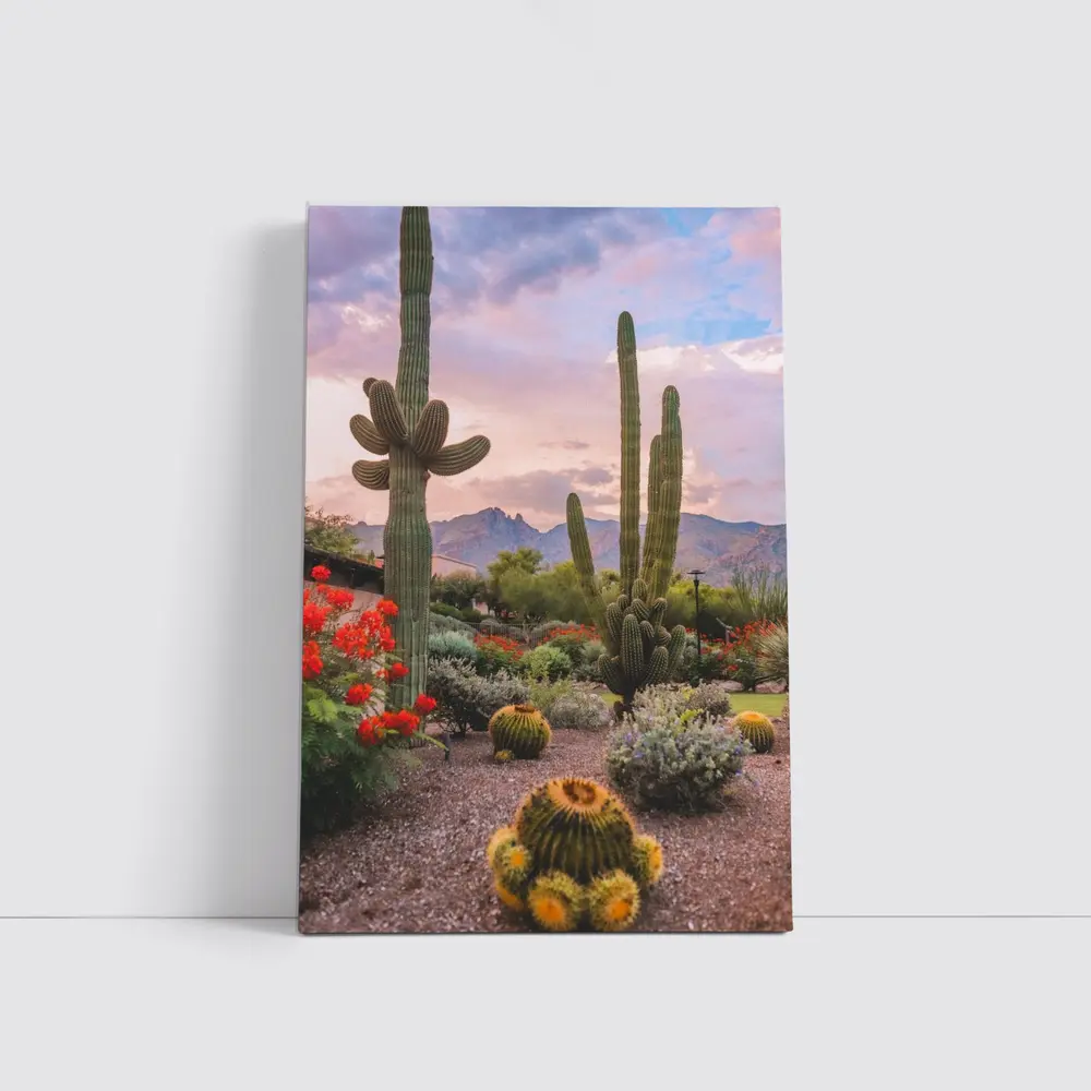 Saguaro Cactus Garden Sunset Mountain Desert – Wall Art
