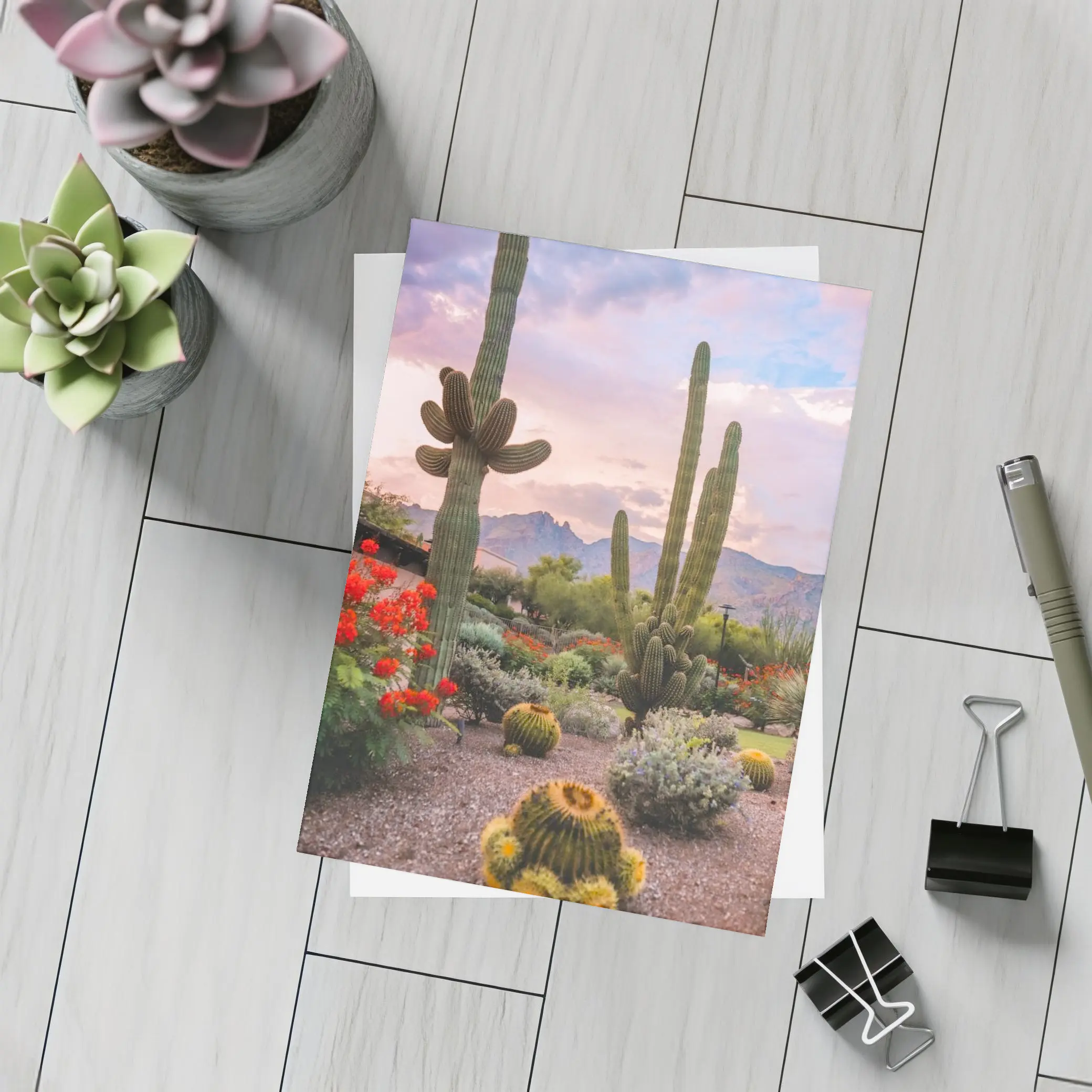 Saguaro Cactus Garden Sunset Mountain Desert – Postcards