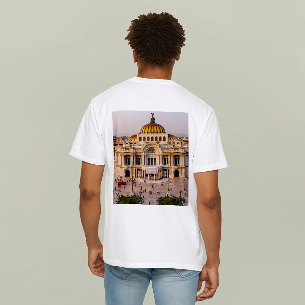 Palacio de Bellas Artes Mexico City Skyline – T-Shirts