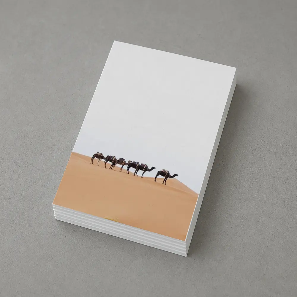 Camel Caravan Walking Across Desert Dunes – Postcards